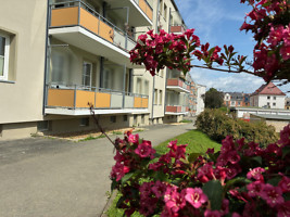 Wohnung - 160859/59/1